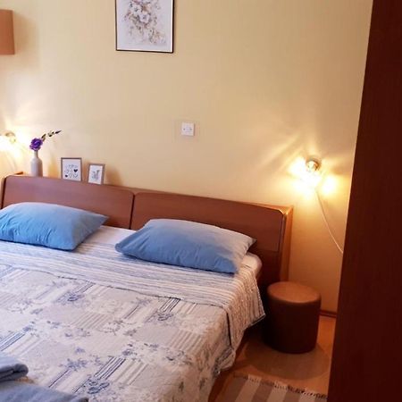 Apartment Neda Z-Velika Okucnica, Besplatni Parking I Opticki Wi-Fi Labin  Exteriör bild