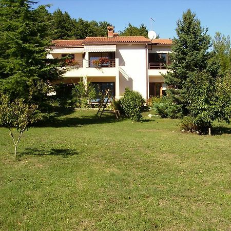 Apartment Neda Z-Velika Okucnica, Besplatni Parking I Opticki Wi-Fi Labin  Rum bild
